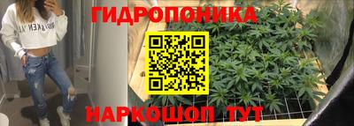 стаф Чебаркуль