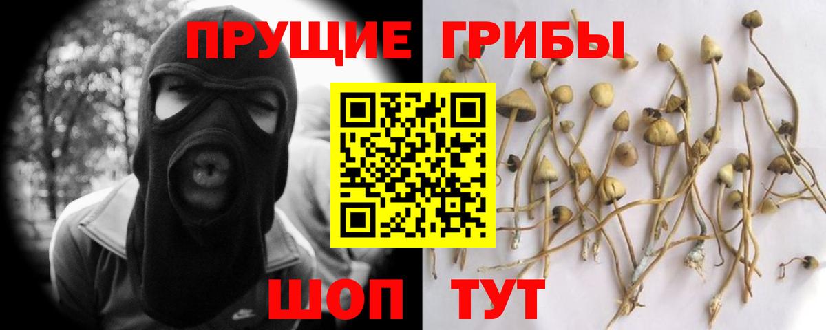 Галлюциногенные грибы Psilocybine cubensis  купить наркотик  Мурино  Вход с VPN 