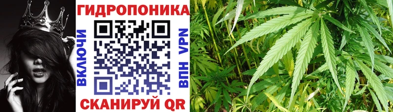 Канабис гибрид купить наркоту МЕГА как зайти Мурино